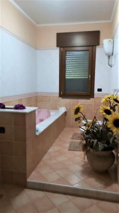 Villa Daniela サルノ エクステリア 写真